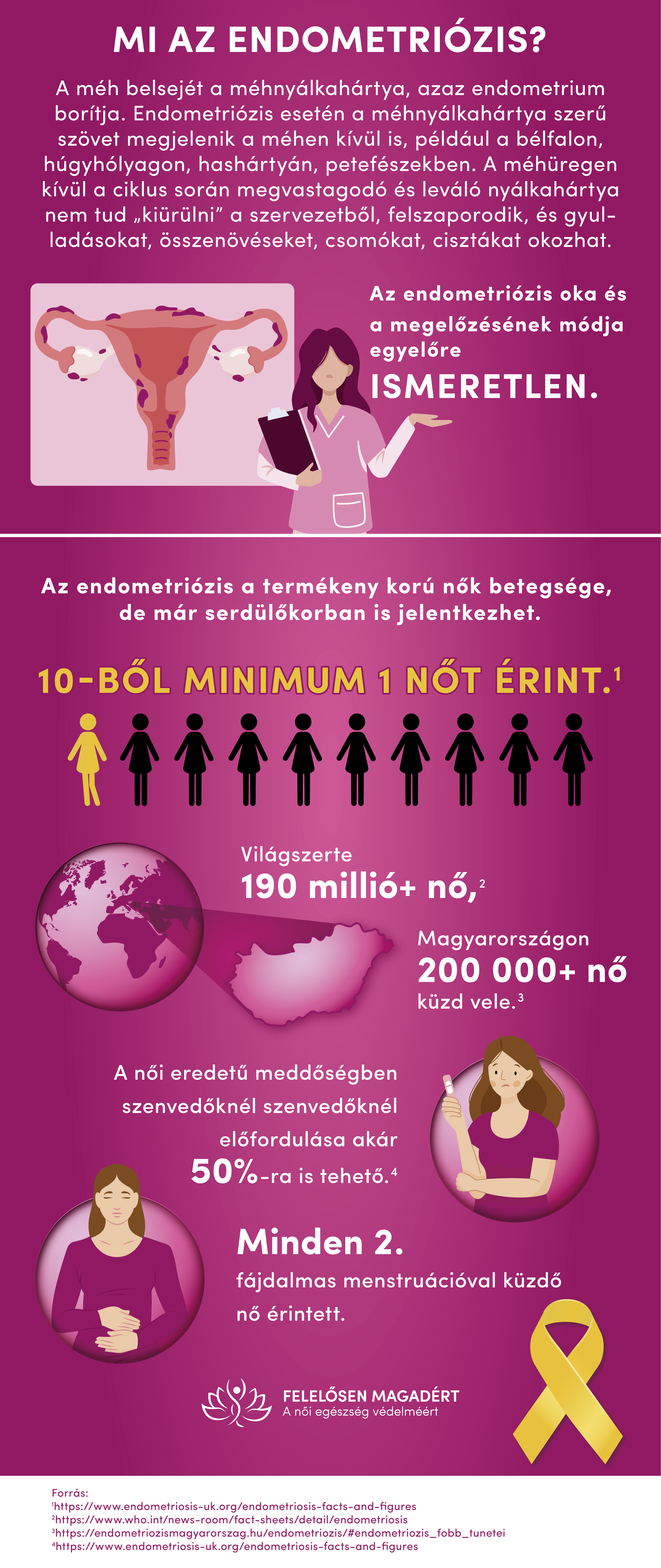 FEME Endometriozis infografika 231006 02